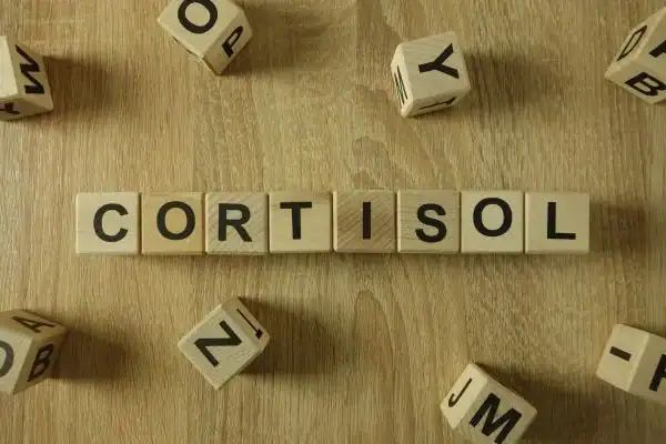 The Hidden Connection: How Stress Shapes Your Fitness and Body Composition 2 Image saying "Cortisol" and how stress Belper impacts your wellbeing and bodies shape
